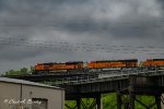 ORANGE TRIO ACROSS THE TOP